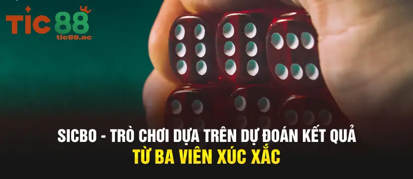 Chinh phục Live Sicbo TIC88 – Kinh nghiệm chiến thắng 2 Hiểu rõ luật chơi Sicbo tại TIC88