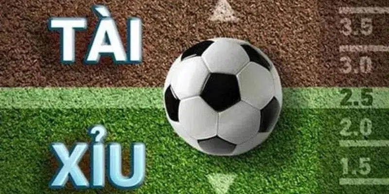 Kèo Tài Xỉu Là Gì? - Hướng Dẫn Chi Tiết Cho Người Mới Bắt Đầu Hiểu Rõ Bản Chất Của Kèo Tài Xỉu