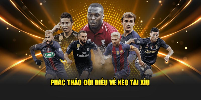 keo tai xiu tic88 689c96d611d43