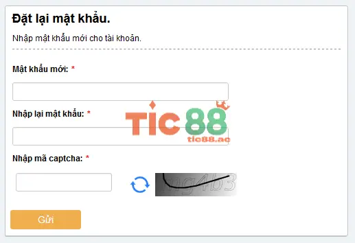 Quên Mật Khẩu TIC88? Hướng Dẫn Chi Tiết Khôi Phục 4 Xử Lý Khi Không Nhận Được Mã Xác Thực