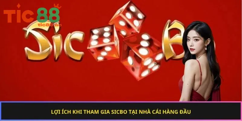 sicbo live tic88 689afdb173a27