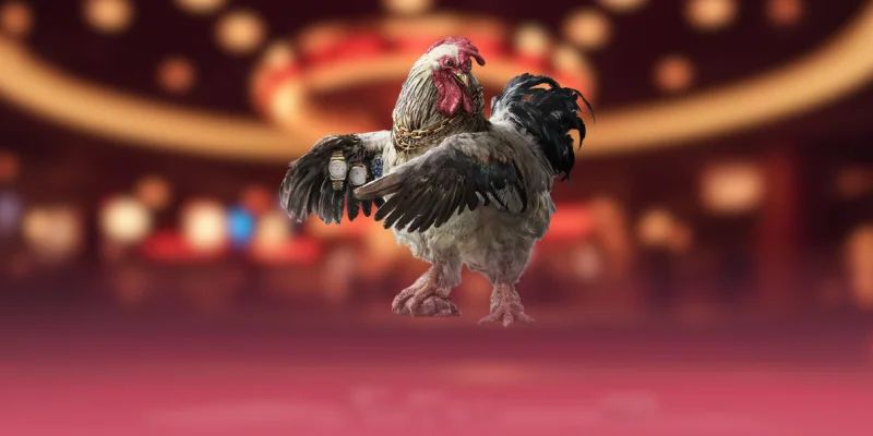 Đá gà TIC88 – Luật Chơi, Kinh Nghiệm Bắt Kèo và Mẹo Thắng Lớn 2 Giới thiệu game đá gà TIC88